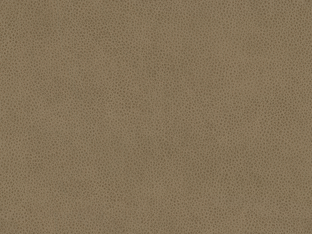 54723L Khaki