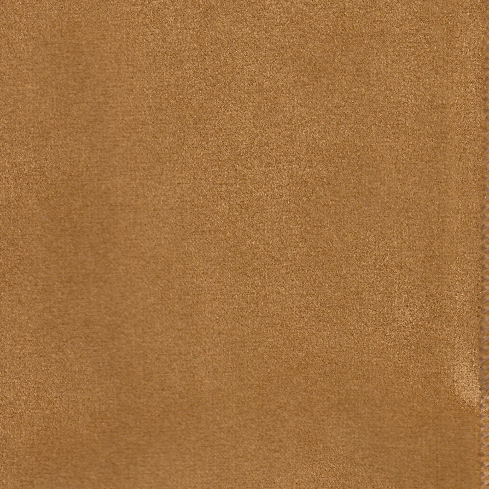 Brezza Mustard 18