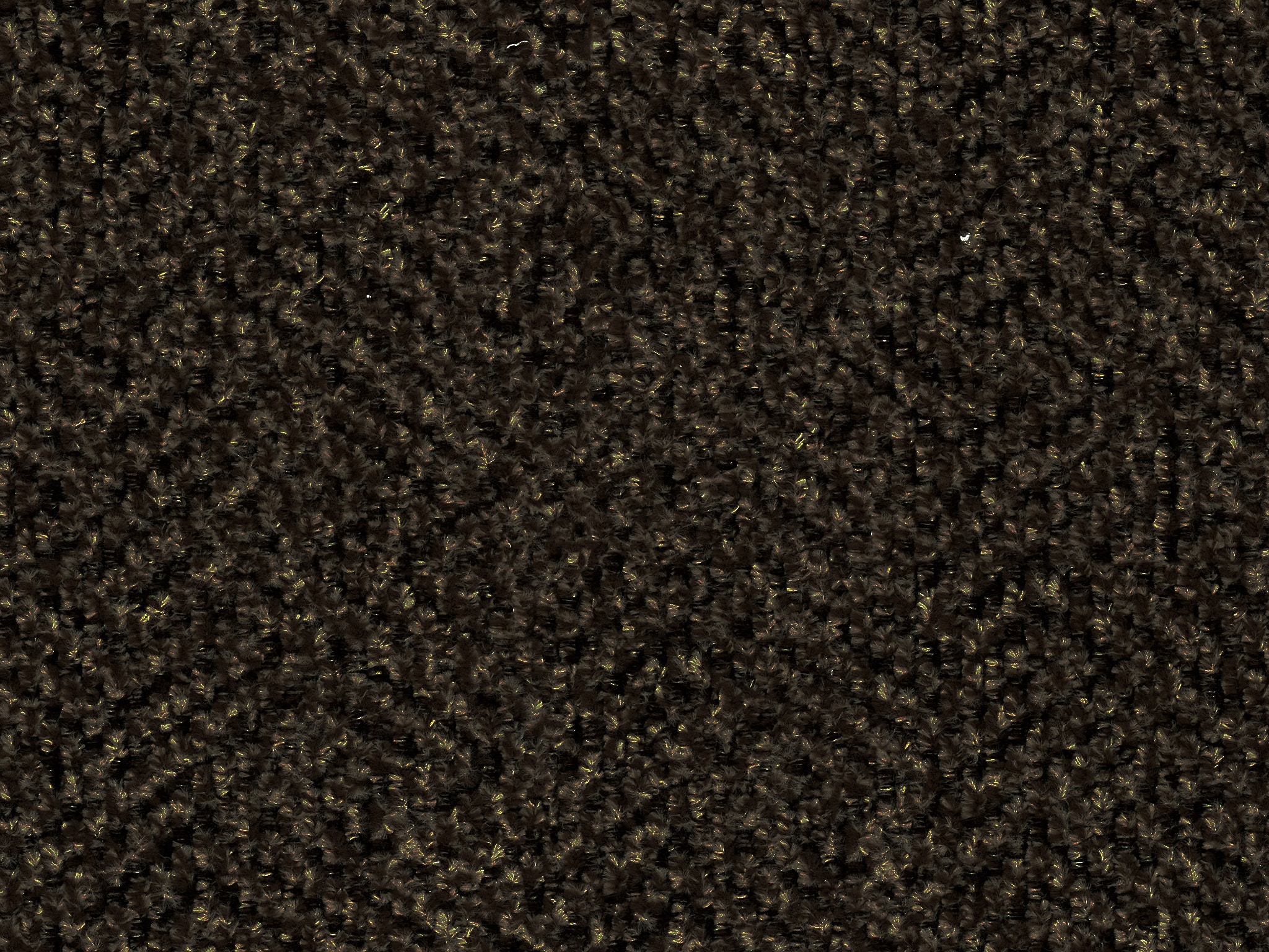 Urban Walnut