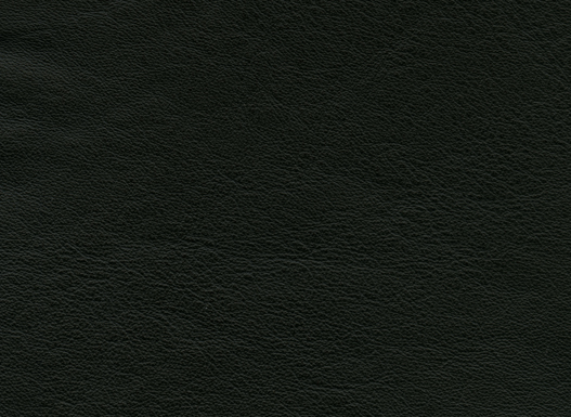 6120-01 (Leather Vinyl)