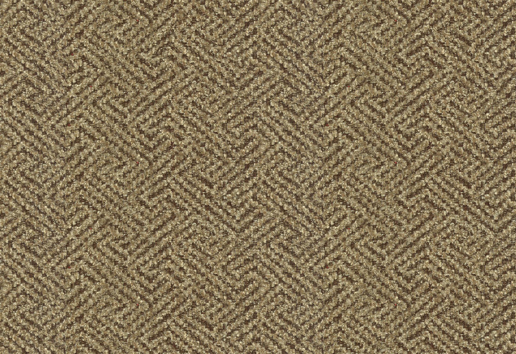 Urban Wheat