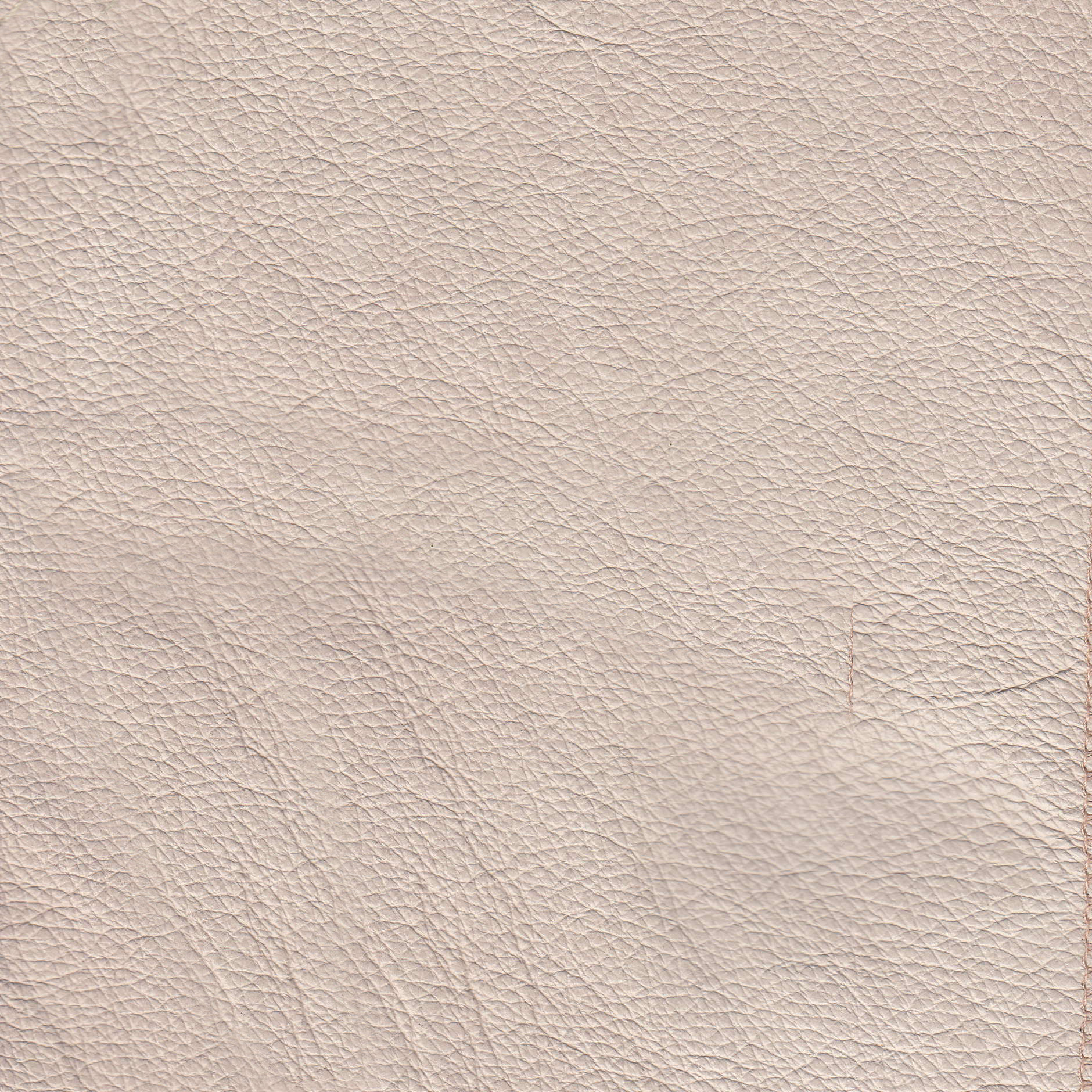 Leather Maximus Eggshell 957-19