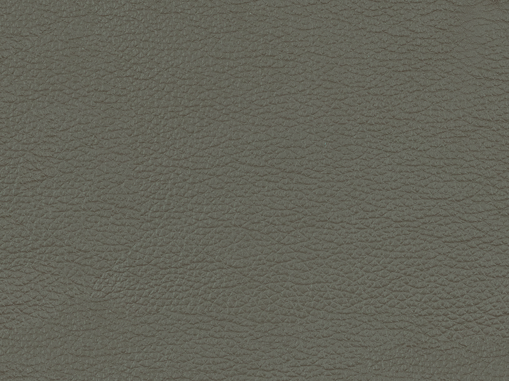50623L Shark Skin