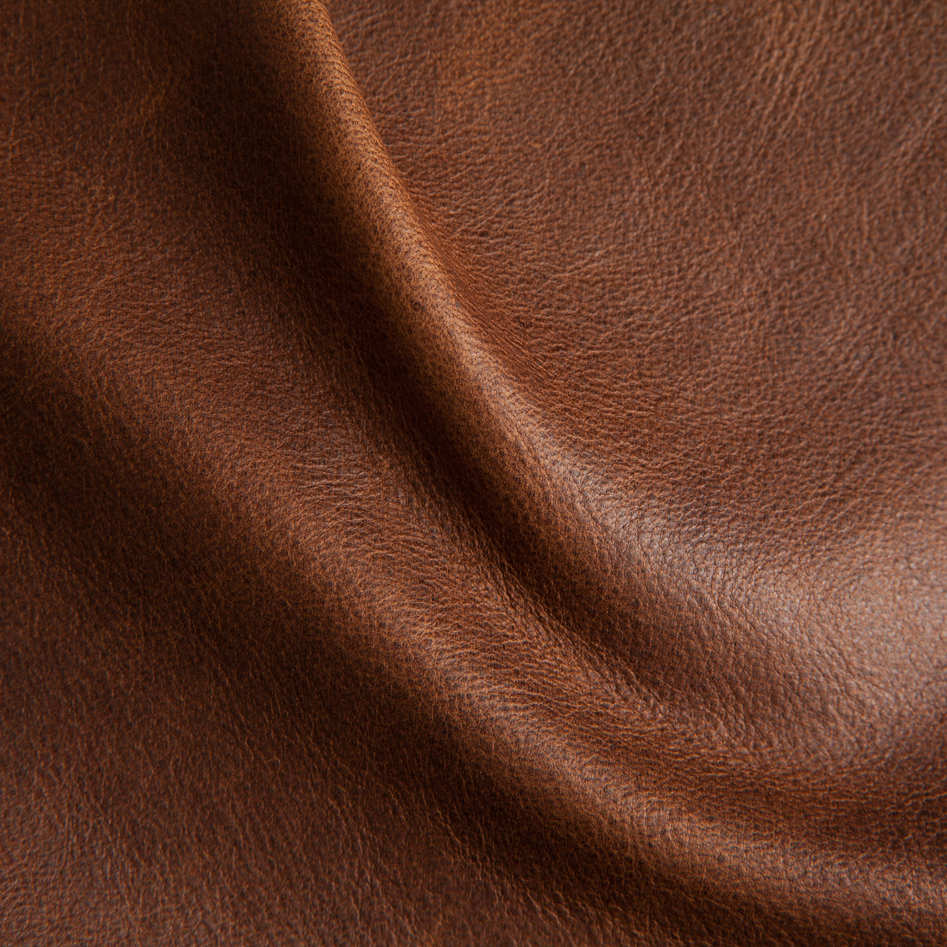 Arizona Rustic