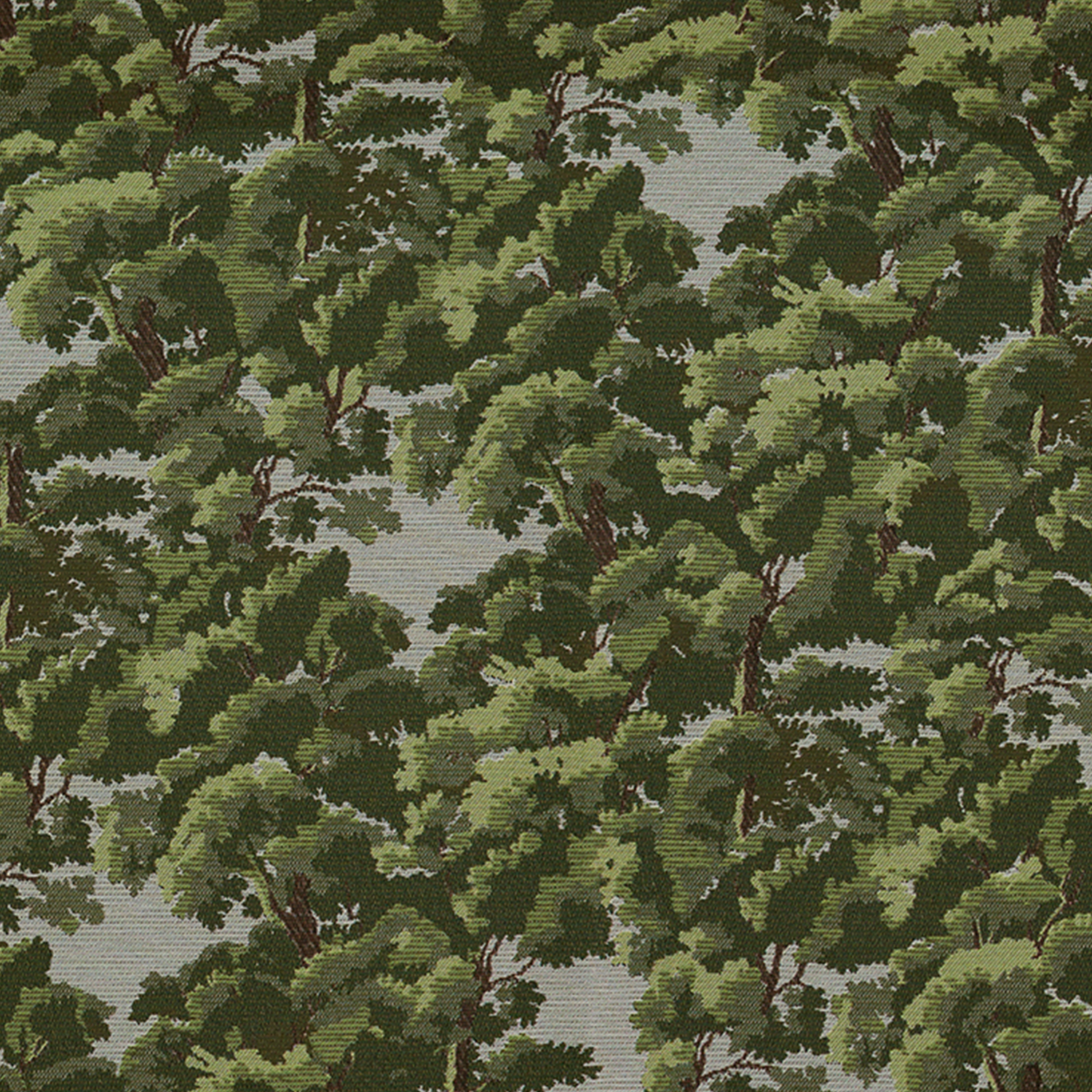 35441-Pine.jpg