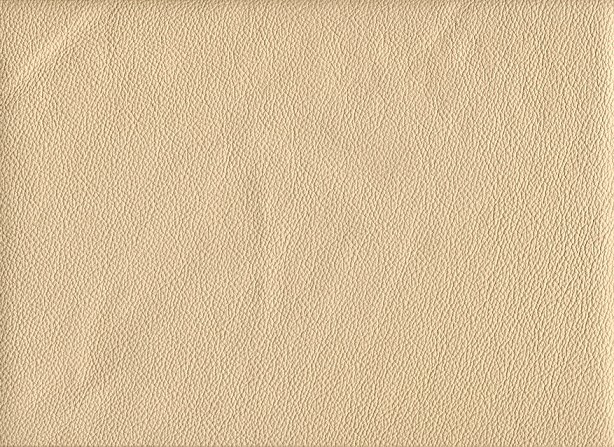 6031-12 (Leather Vinyl)