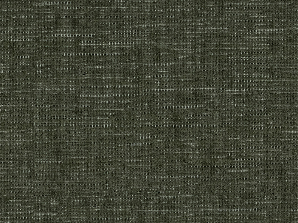 19551 Olive