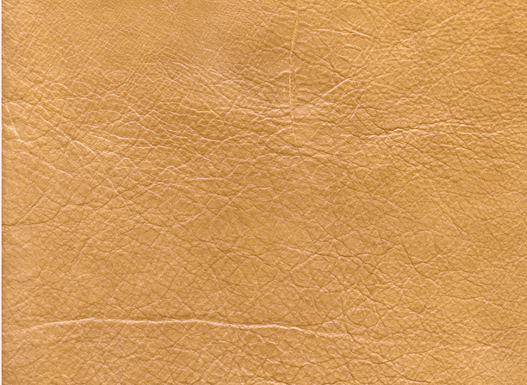 6137-22 (100% Leather)