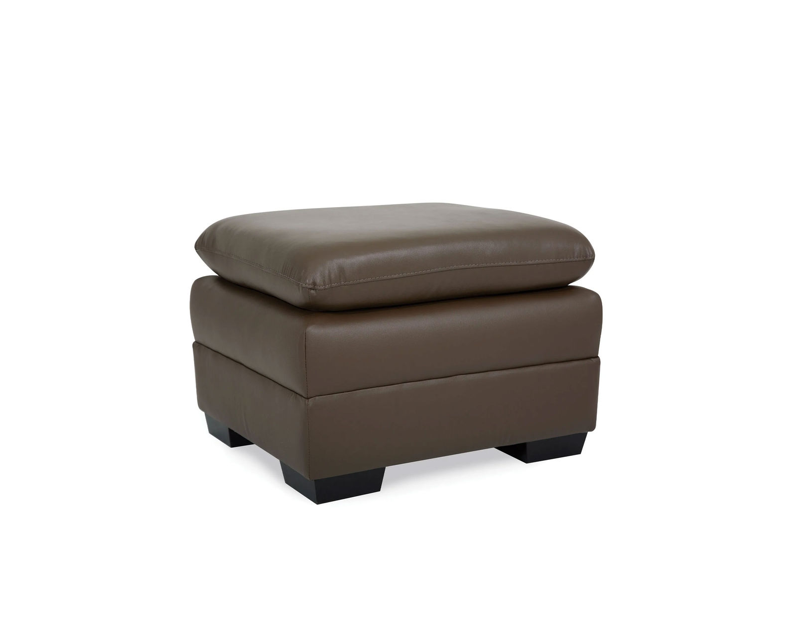 Amisk 77343 Sofa (84") +100 leathers - Amisk Ottoman 22" x 24"