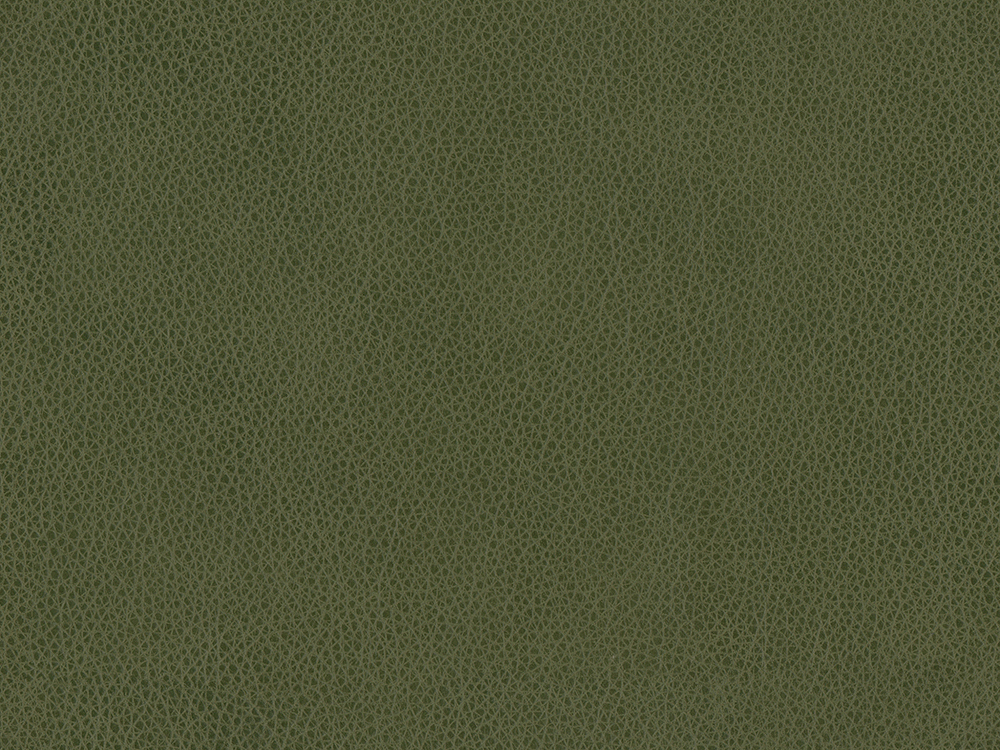 54721BL Boreal Forest