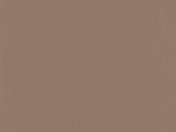 41367AL - MUSHROOM