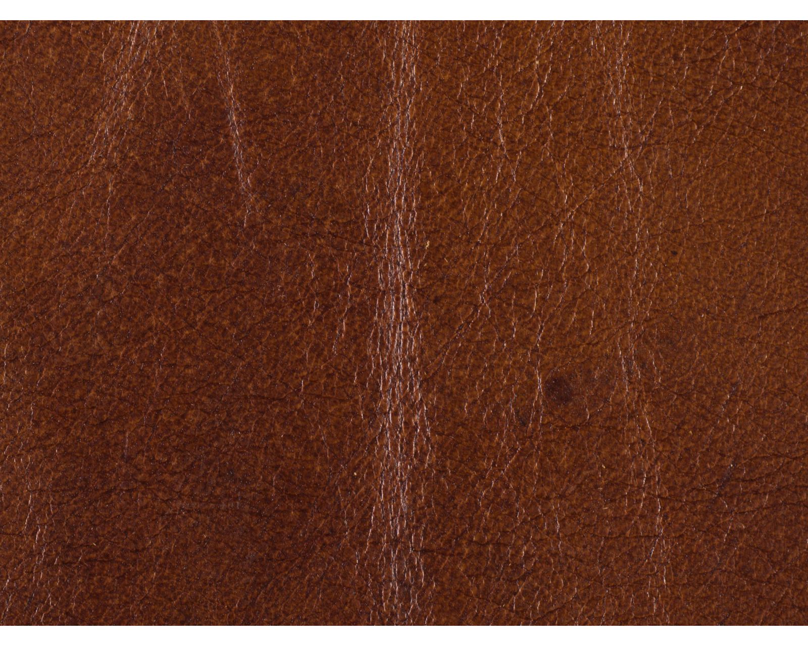 Exton Leather Stationary Sofa (83") - In stock