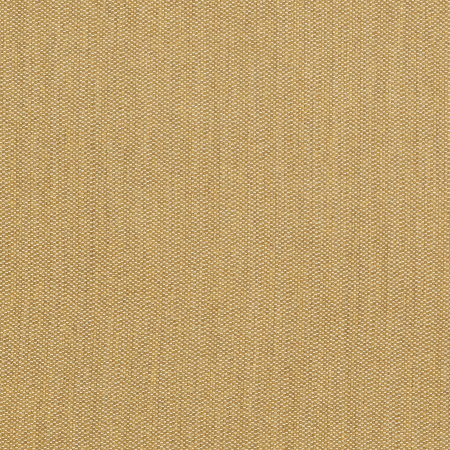 Suelo Mustard