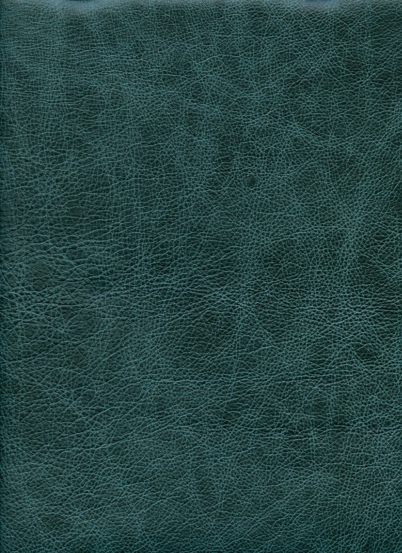 6152-17 (100% Leather)