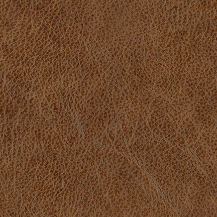 71669L-CAMEL