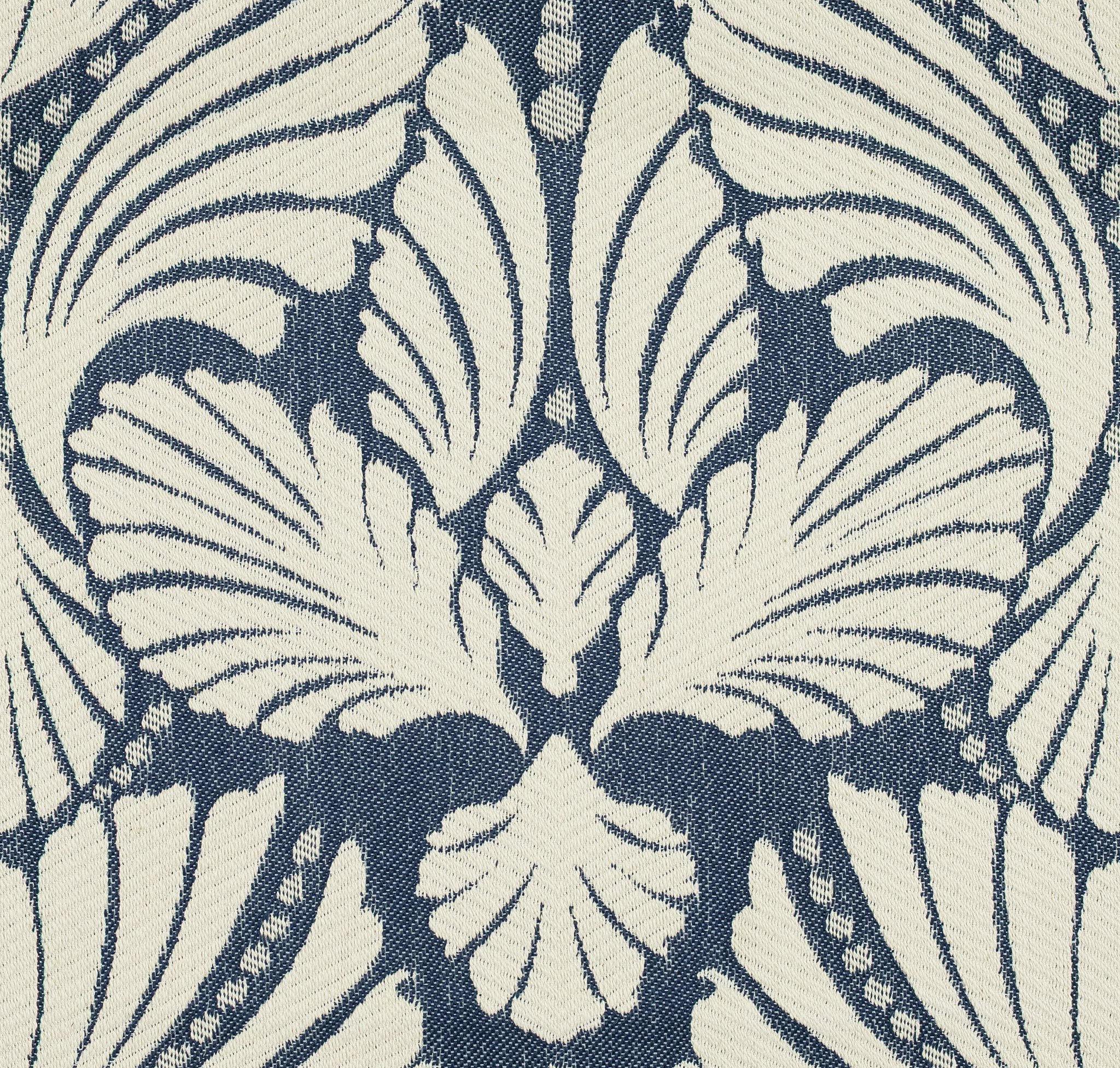 Fennel 23