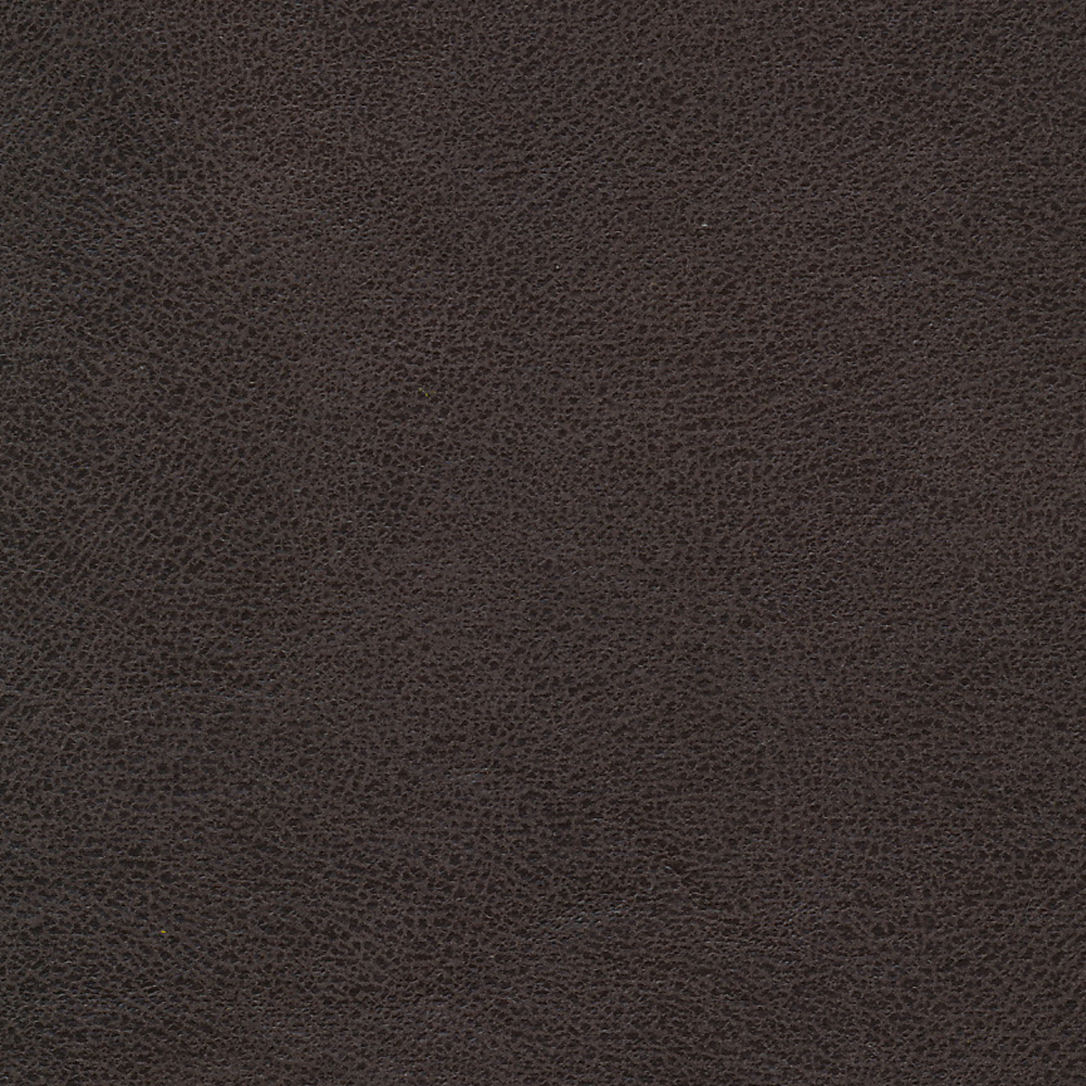 Passion Slate 186-14