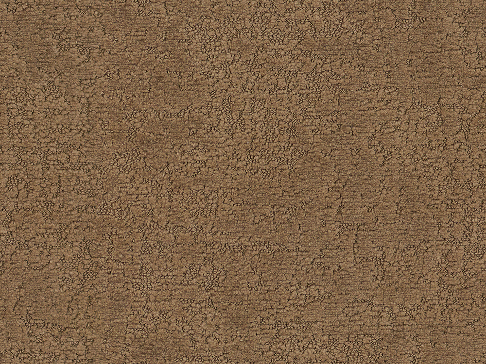 20199 Praline
