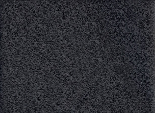 6031-01 (Leather Vinyl)