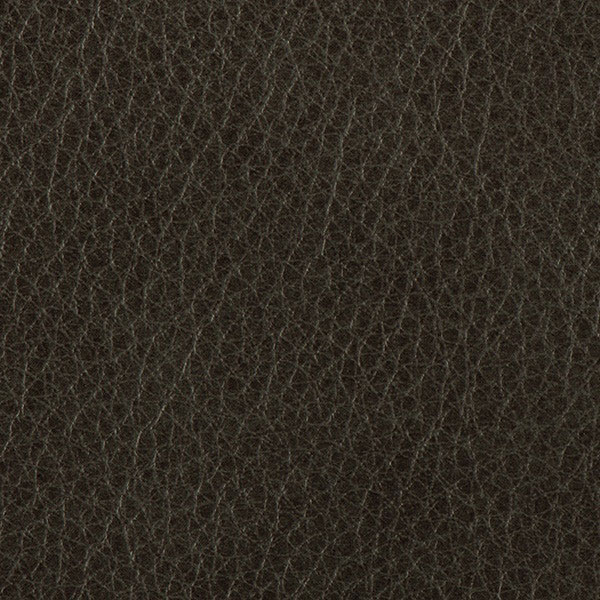 174-02 Shadow