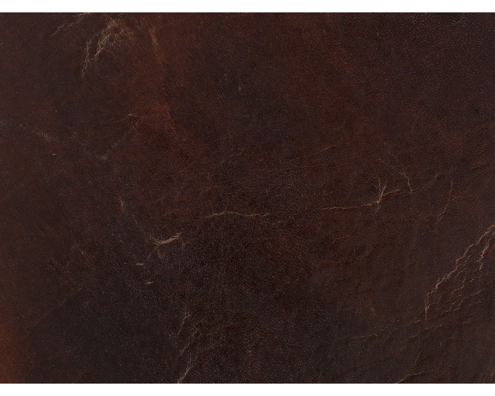Chester Leather Sofa 94.5" (in stock)