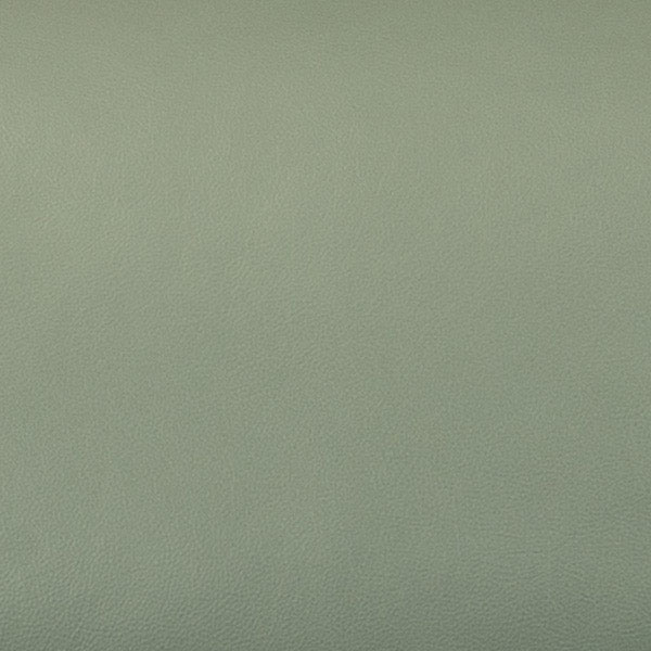 824-42 Mist