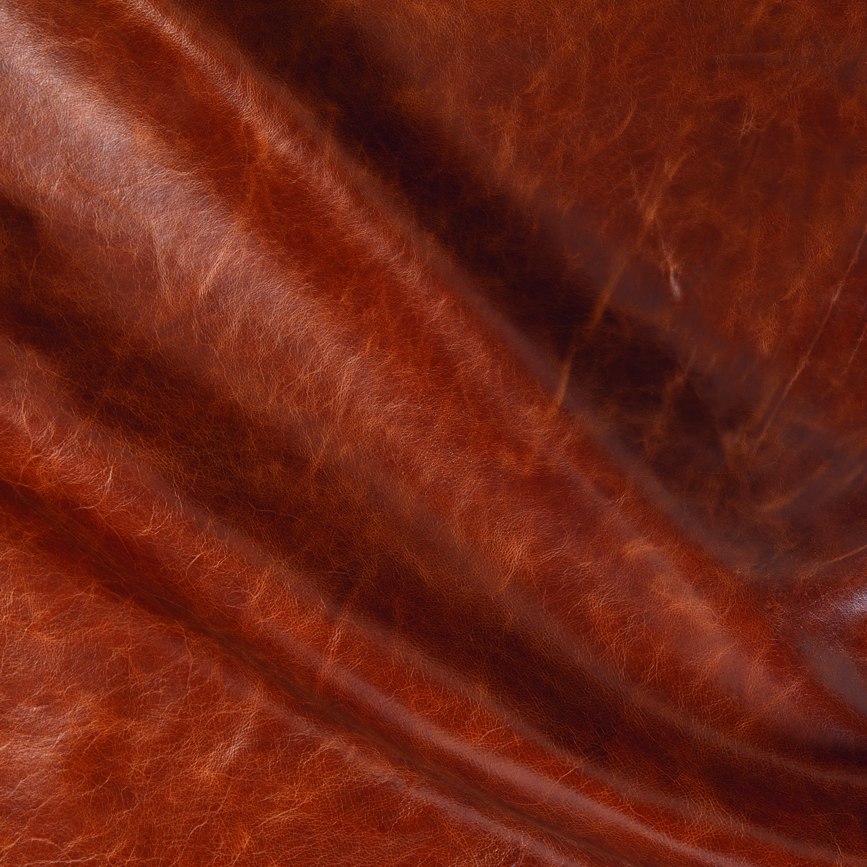 Phoenix Cigar