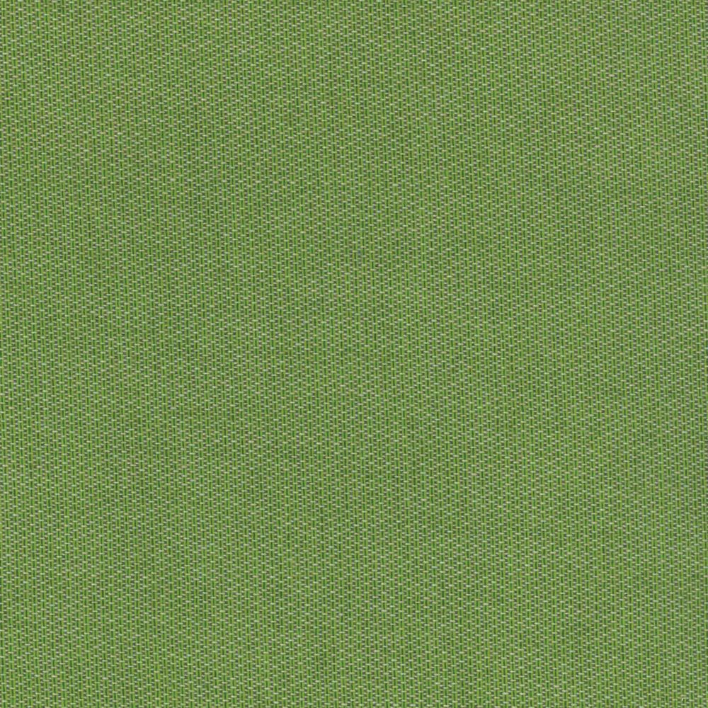 SCENE CILANTRO