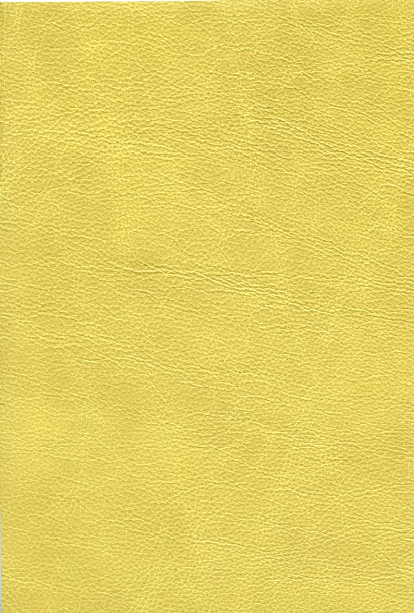 6152-04 (100% Leather)