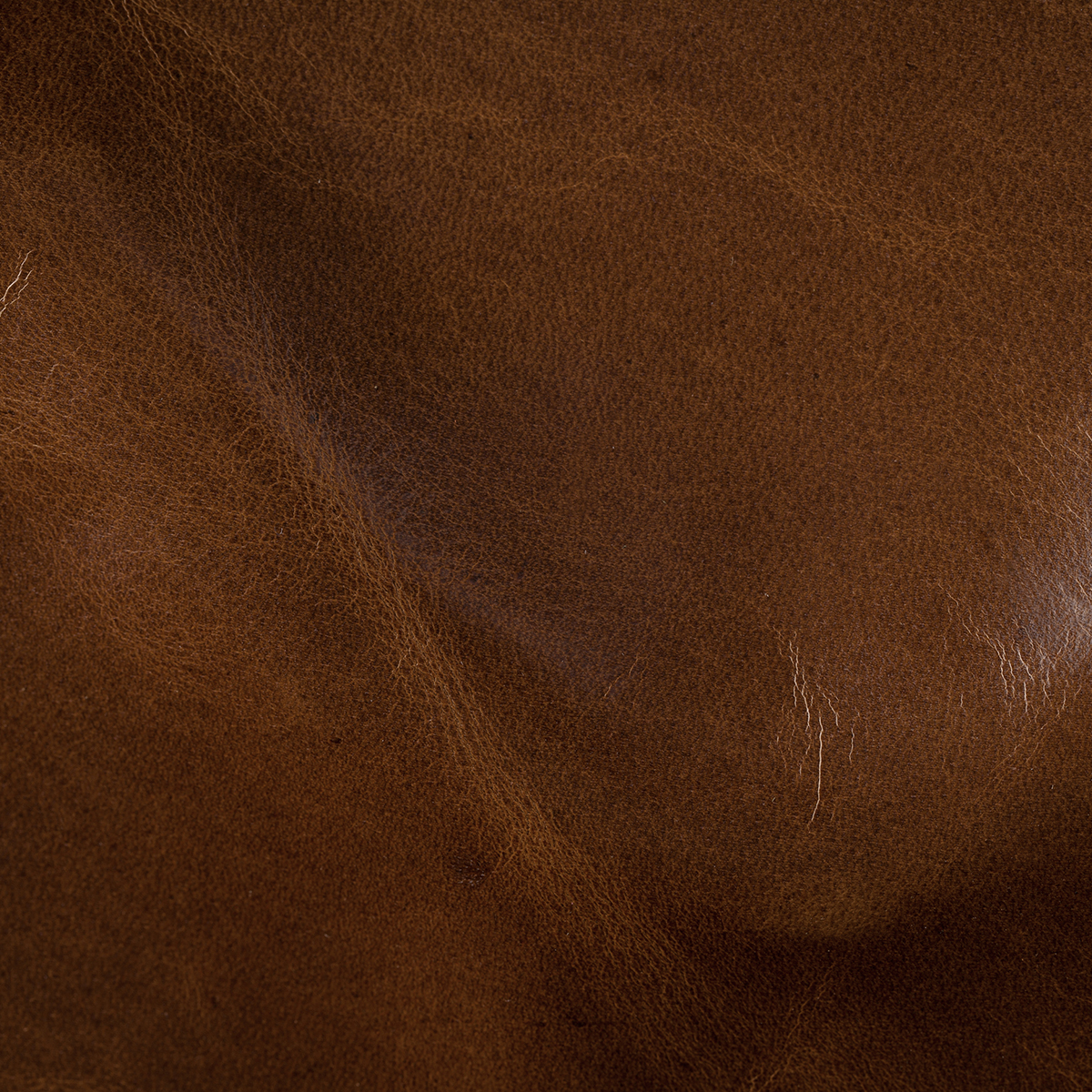 Winchester Cigar