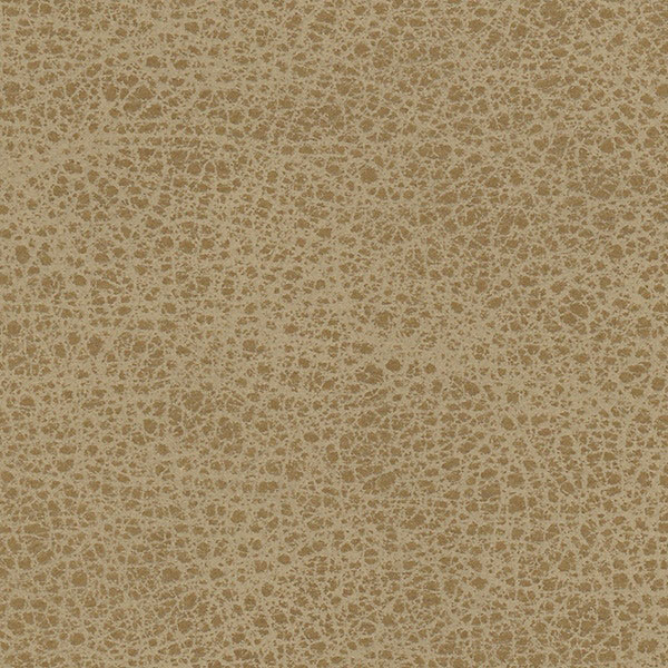 659-80 Tortilla
