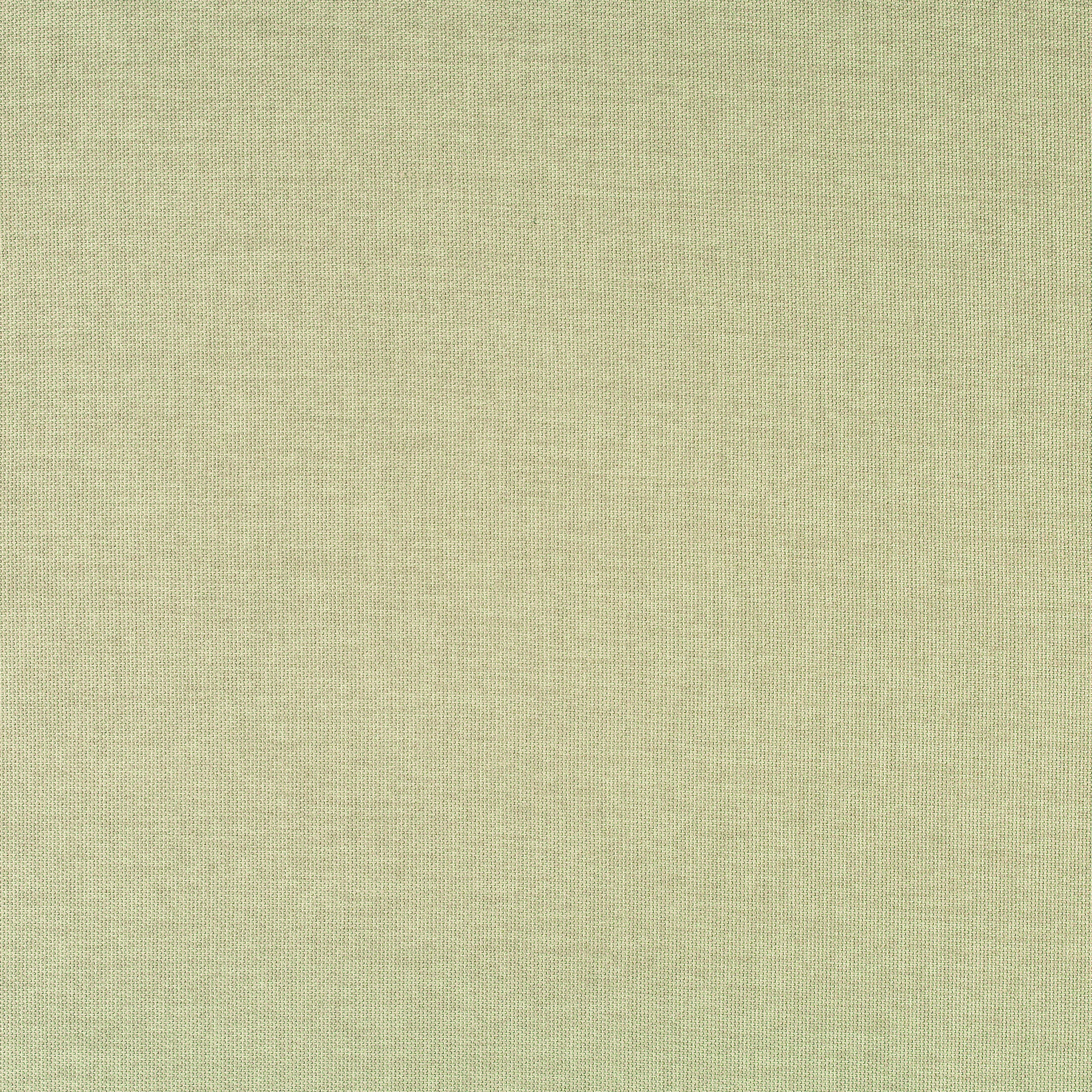 Ingram Dove (Standard)