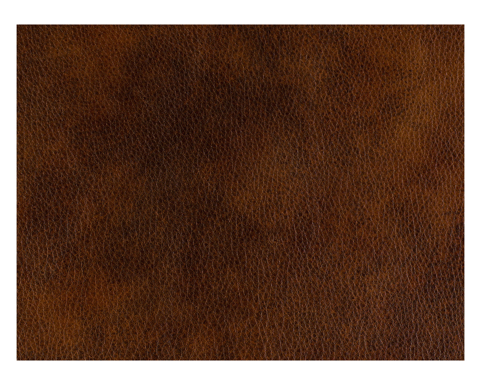 Bradington Youn Richardson Stationary Sofa 8-Way Tie - Top Grain Leather - In Stock (Brown) - 100% Top Grain Leather