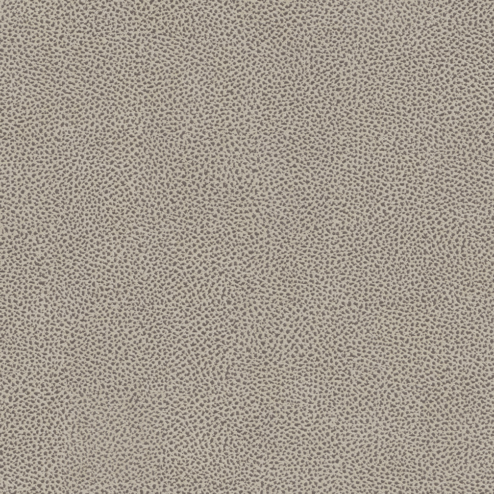 407-01 Fossil