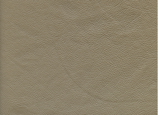 6120-68 (Leather Vinyl)