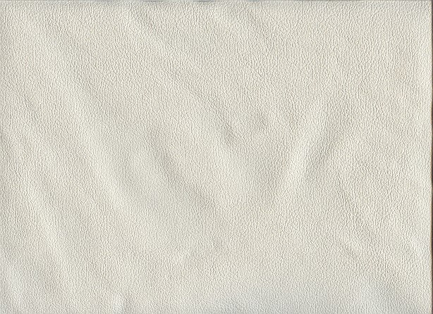 6031-11 (Leather Vinyl)