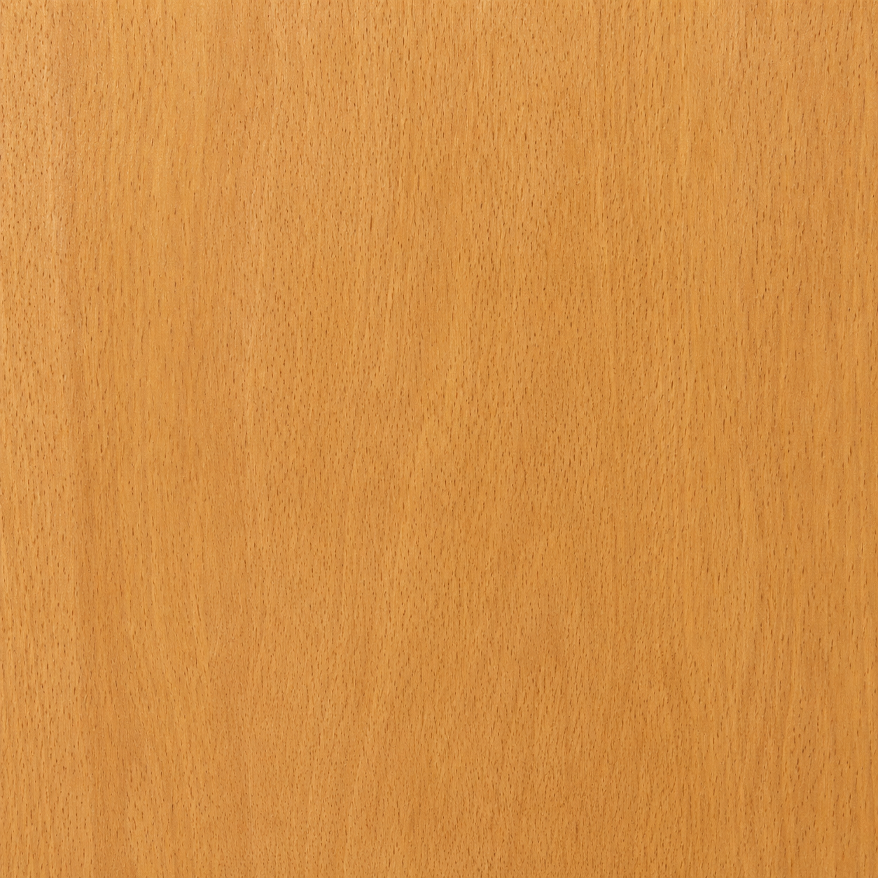 Honey Birch