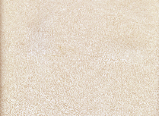 6169-11 (Leather Vinyl)