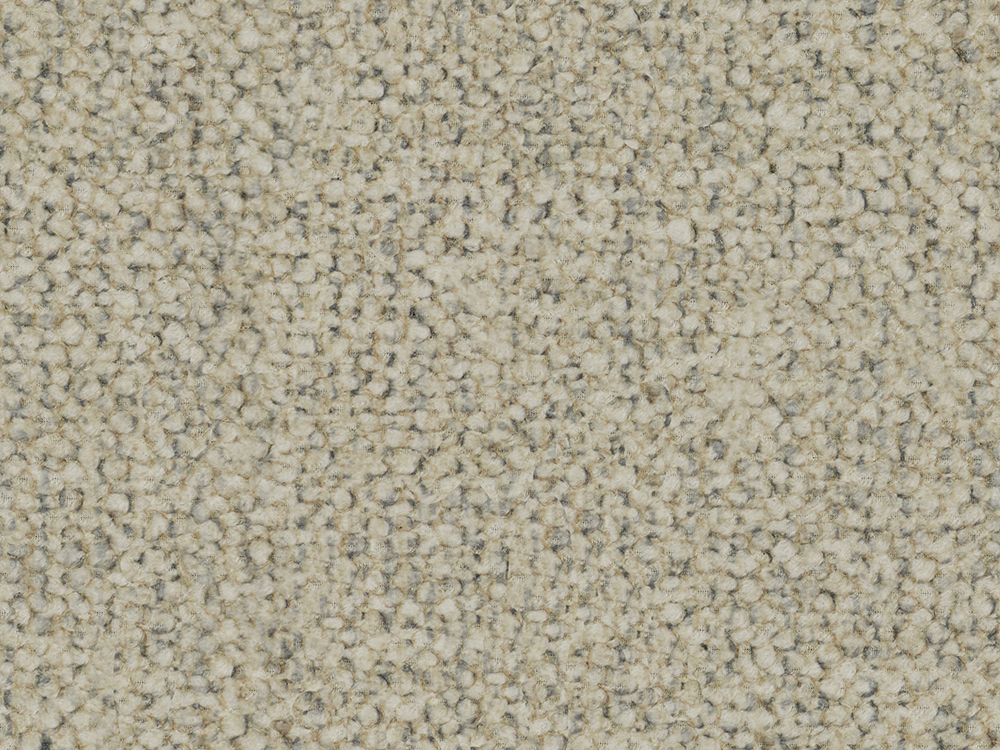 21809 Desert