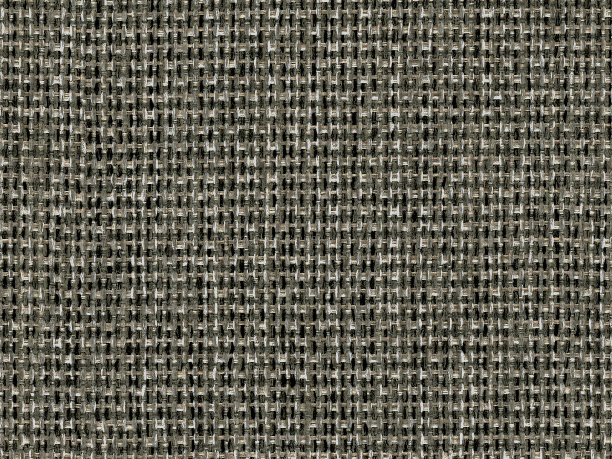 Invitation Tweed (performance)k