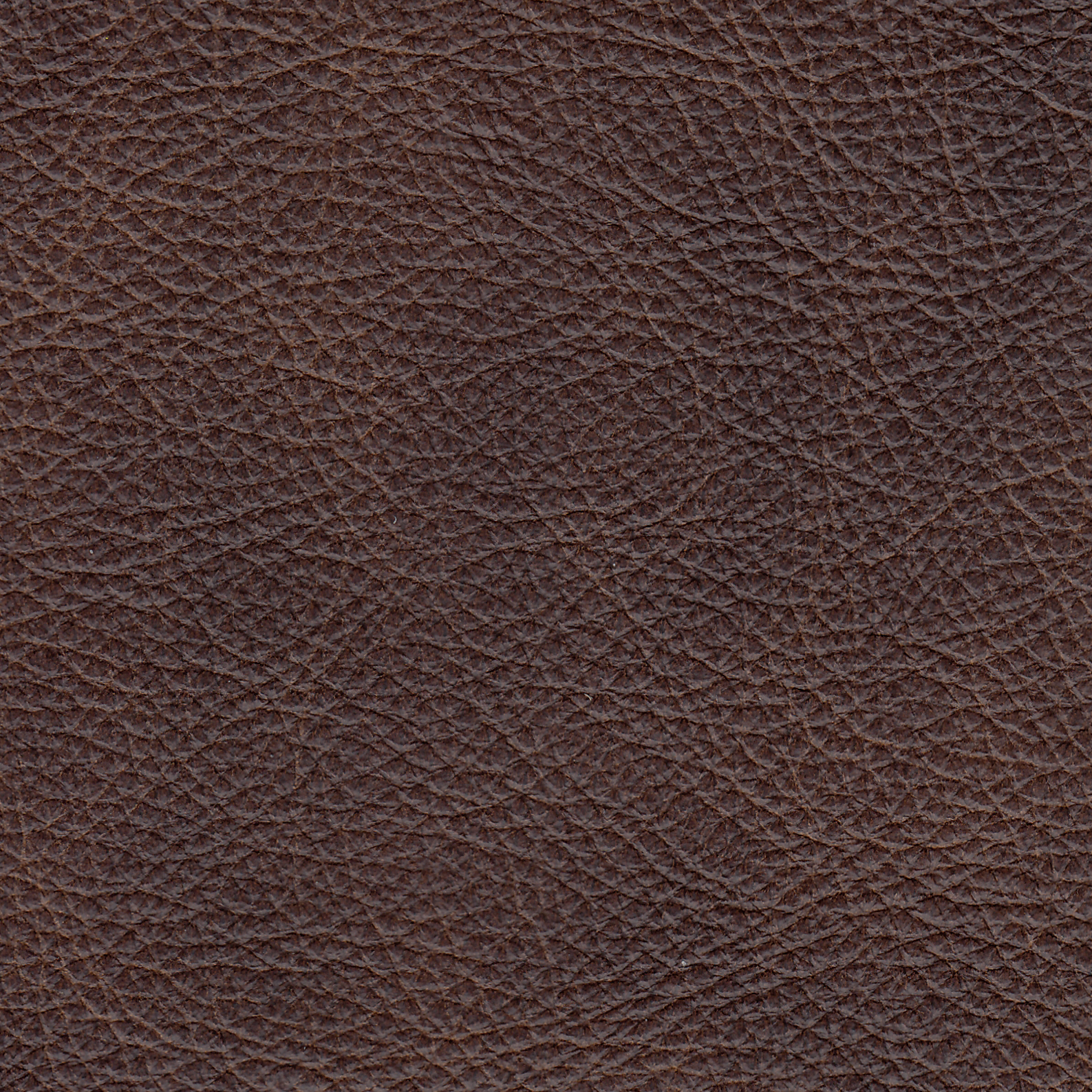 Leather Eastwood Chaps 970-22