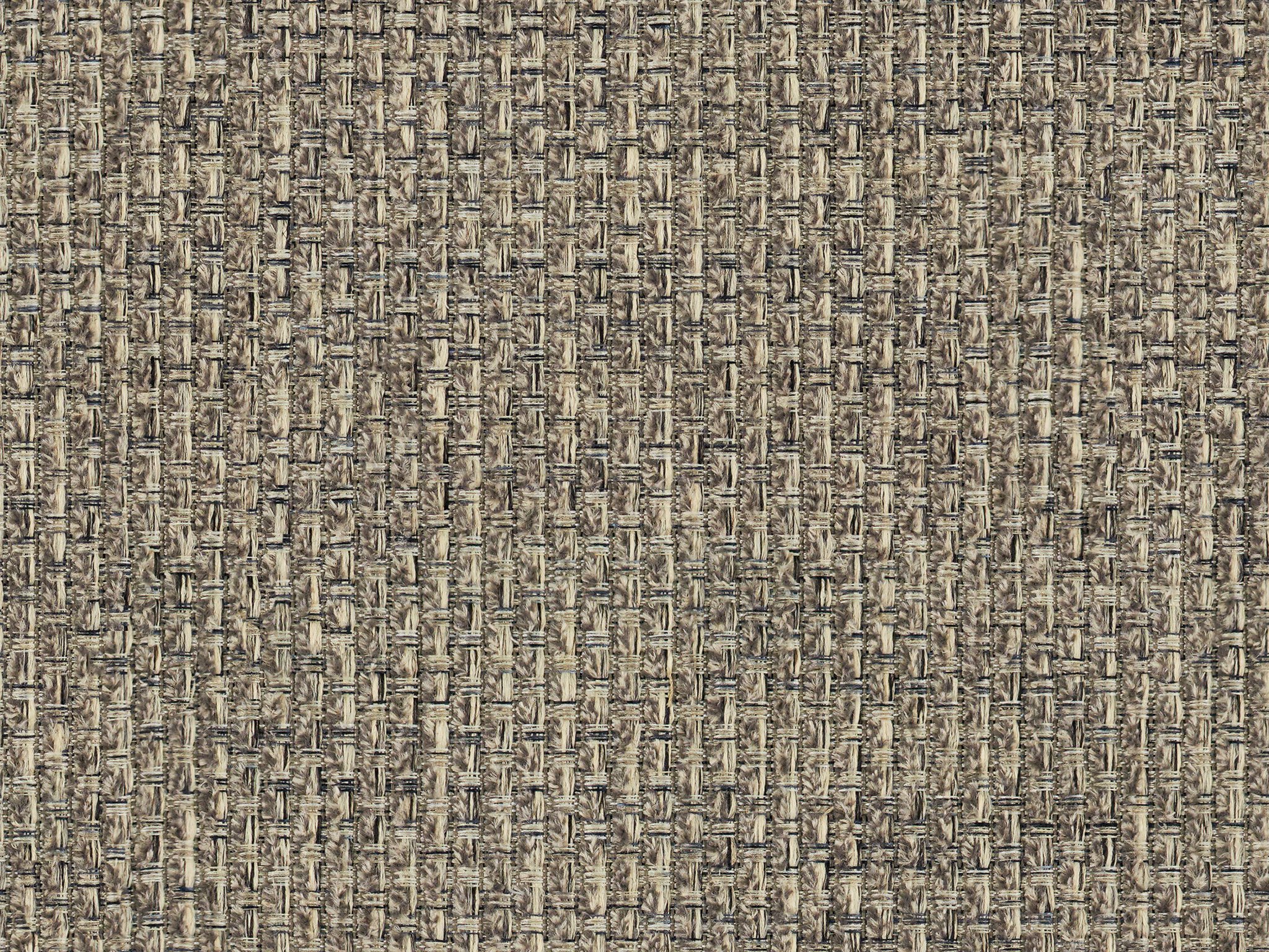 Chaplin 41 - Performance