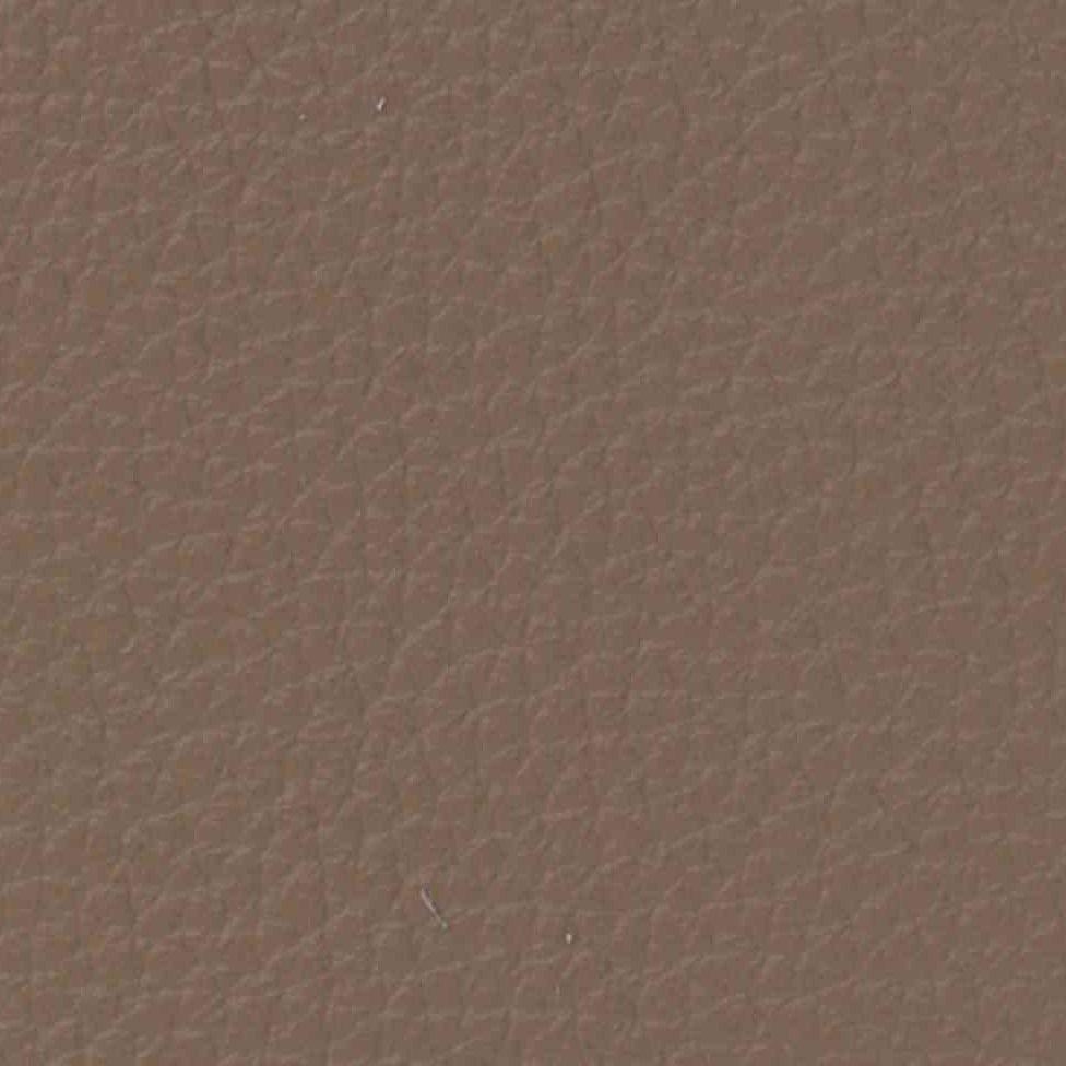 Le Mans Light Tan 15F5