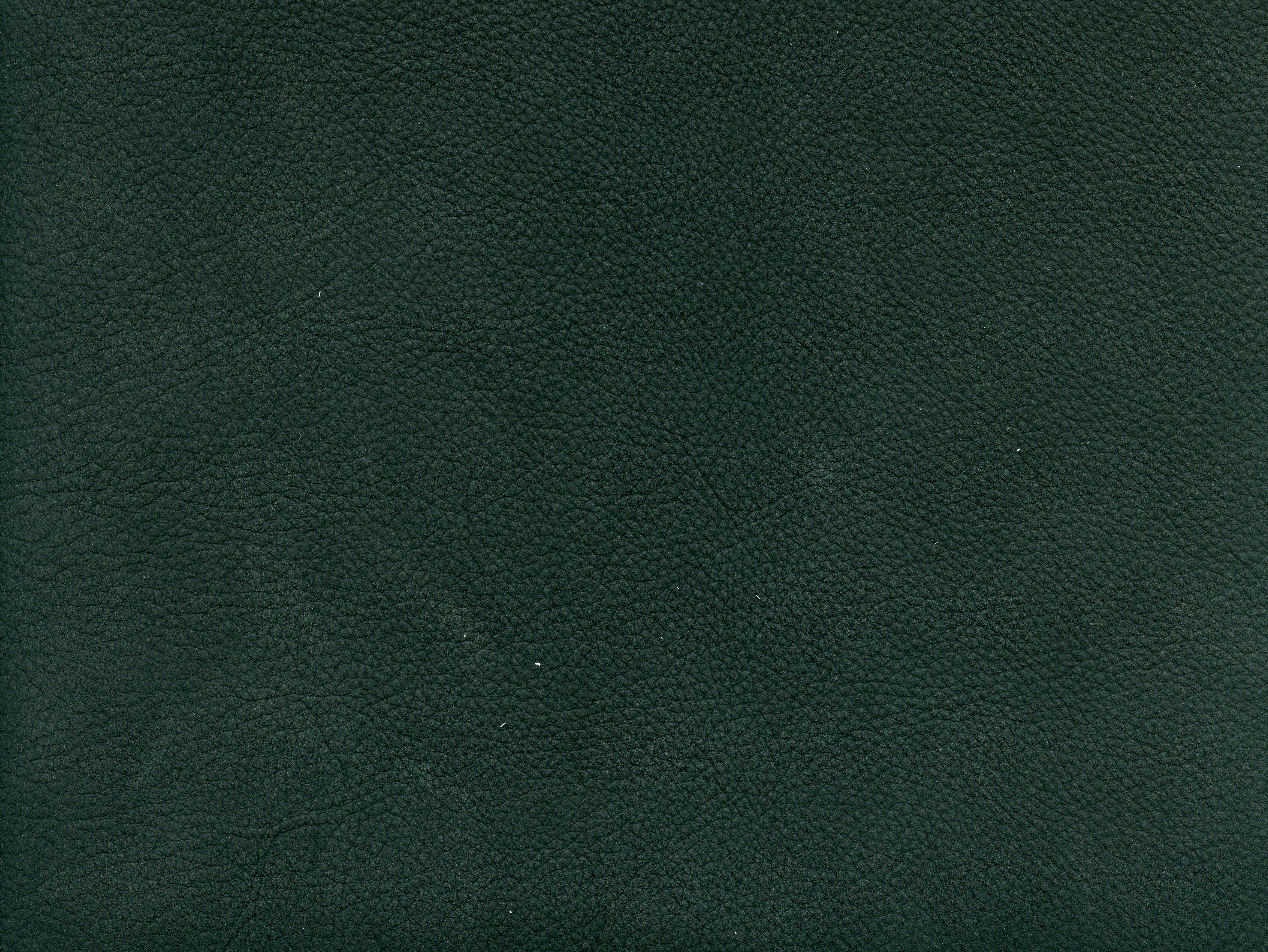 6166-61 (100% Leather)