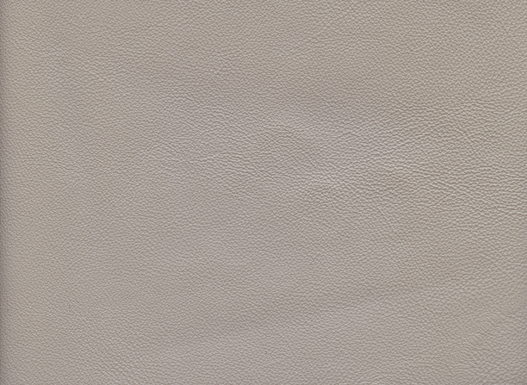 6169-61 (Leather Vinyl)