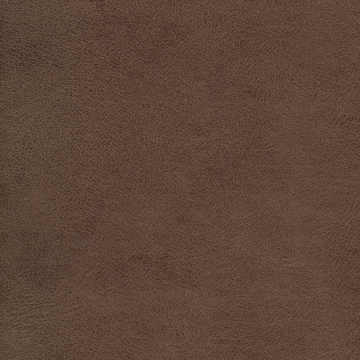 Passion Taupe 186-18