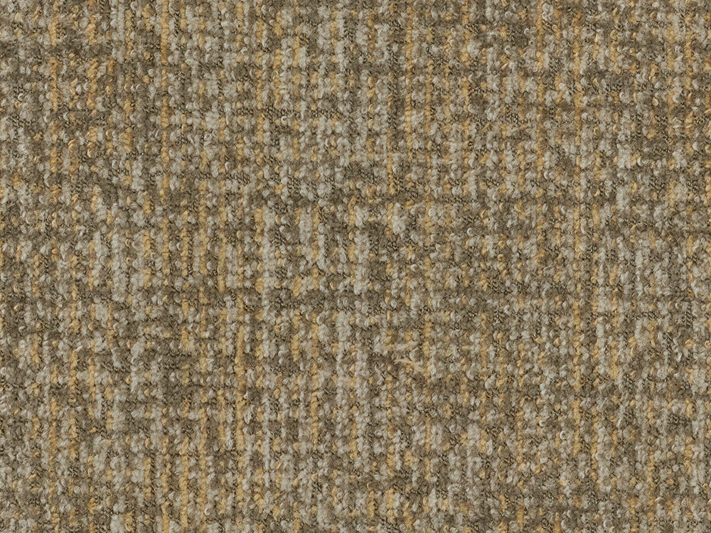 19769 Camel