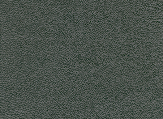 6503-91 (100% Leather)