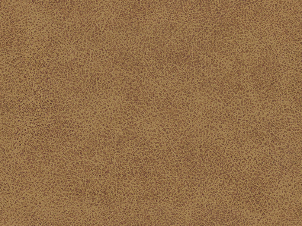 53559L Umber