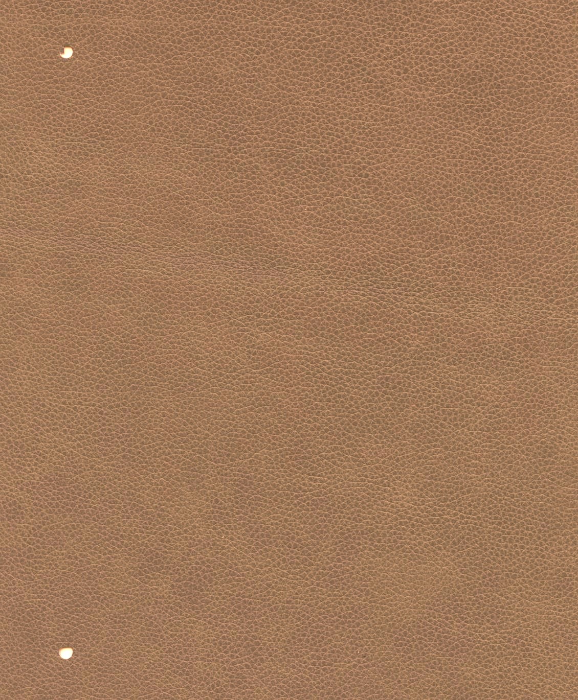 6173-32 (Leather Vinyl)
